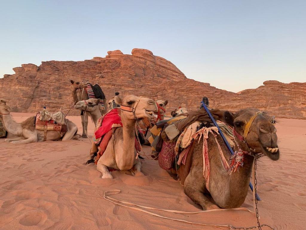 Space Village Luxury Camp Wadi Rum Zewnętrze zdjęcie